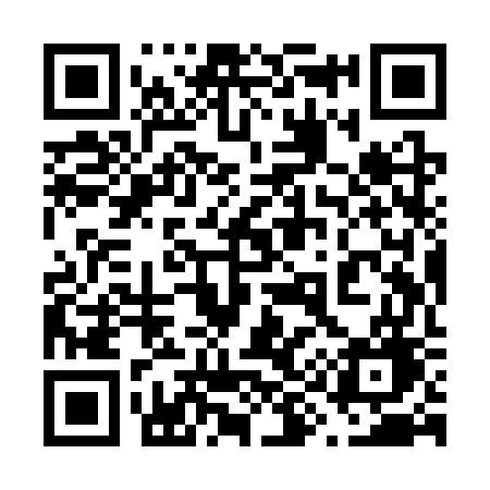 QR code for 699SWG