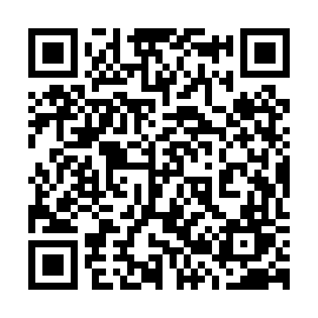 QR code for 729PVT