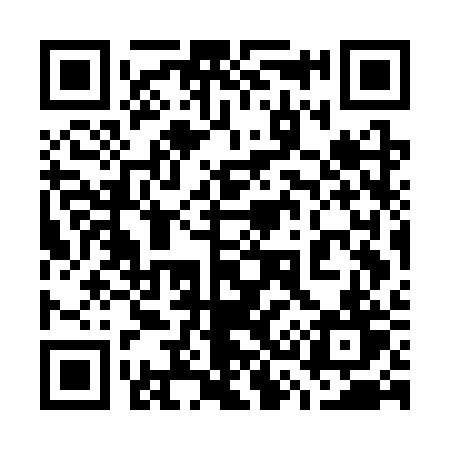 QR code for 737CRT