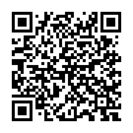 QR code for 737FLK