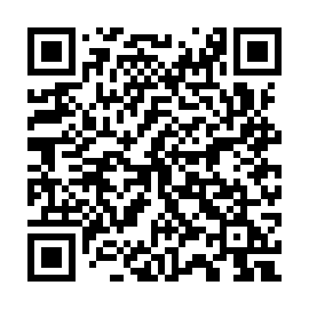 QR code for 737IWE