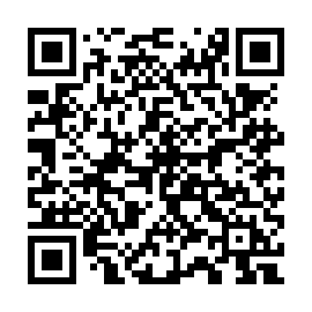 QR code for 737NEH