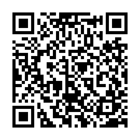 QR code for 737NYR