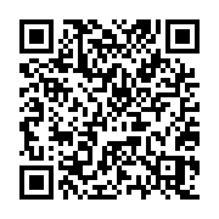 QR code for 737QDS