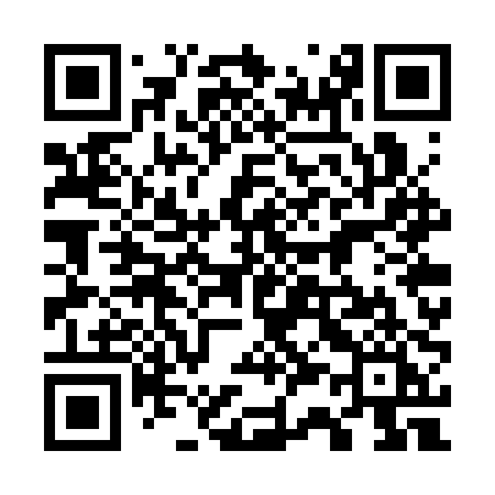 QR code for 737SPI