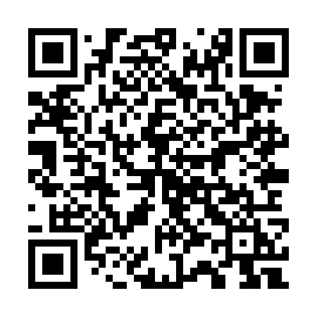 QR code for 738TOI