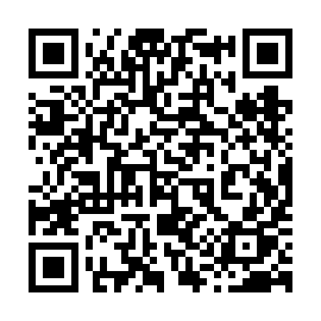 QR code for 811VIP