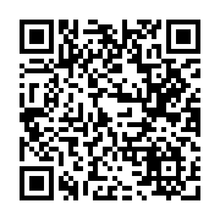 QR code for 838IAO