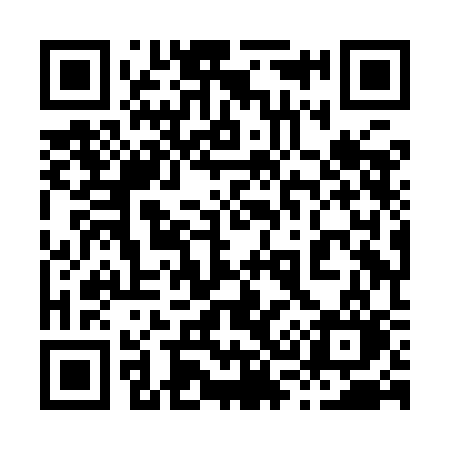 QR code for 838ICO