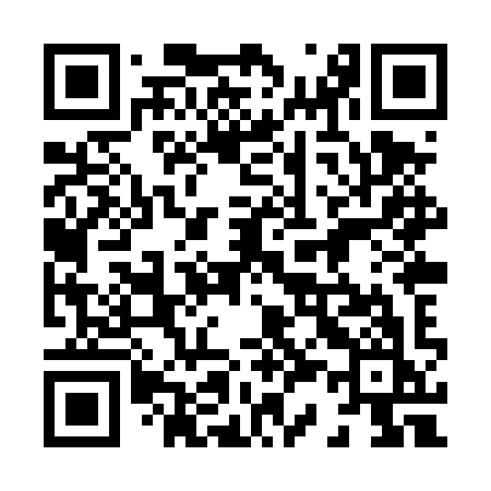 QR code for 838TYK