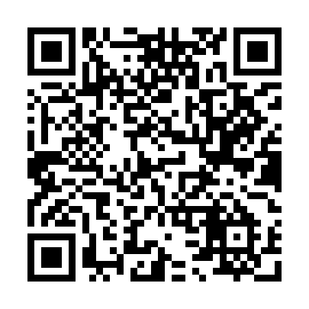 QR code for 838YEM