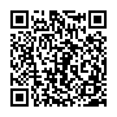 QR code for 851AVR