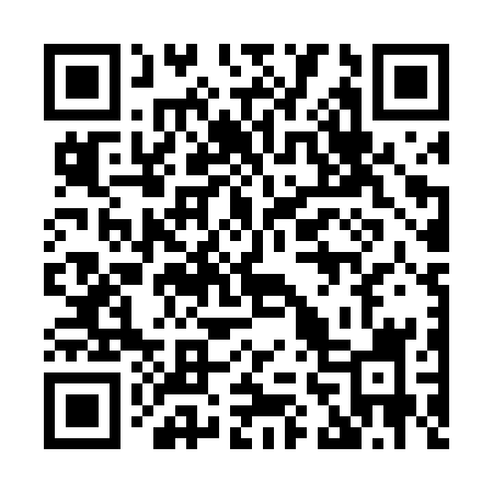 QR code for 867DSI