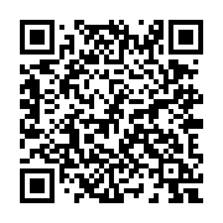 QR code for 868TIC