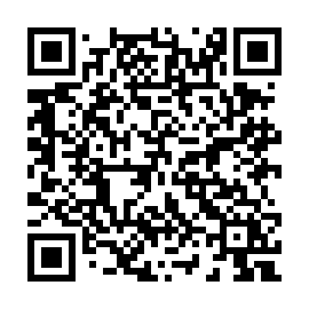 QR code for 869DFX