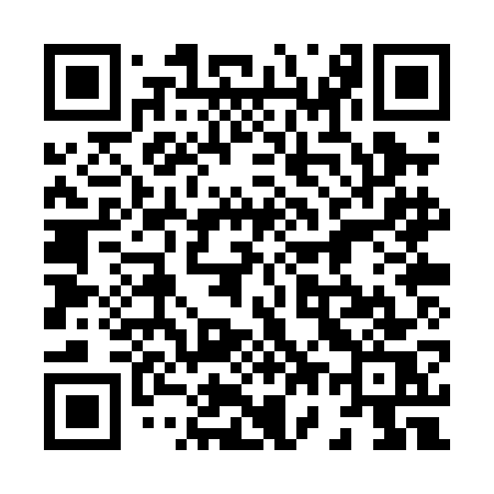 QR code for 870PGS