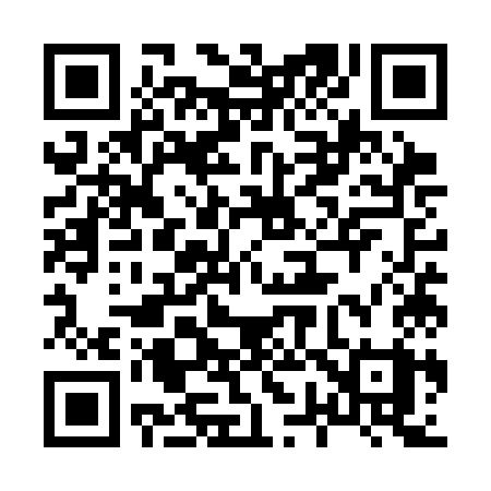QR code for 875SKY