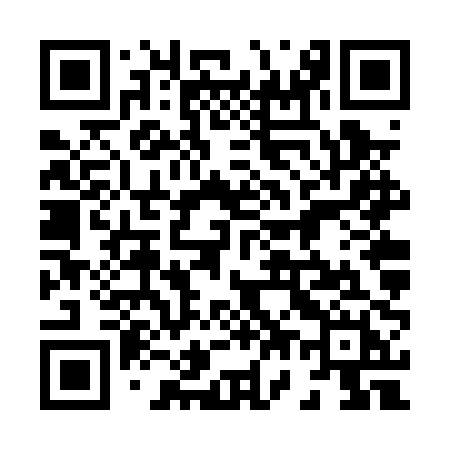 QR code for 876PPH
