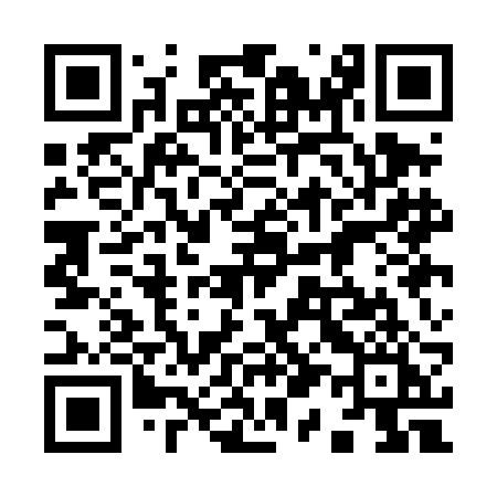 QR code for 911DBI