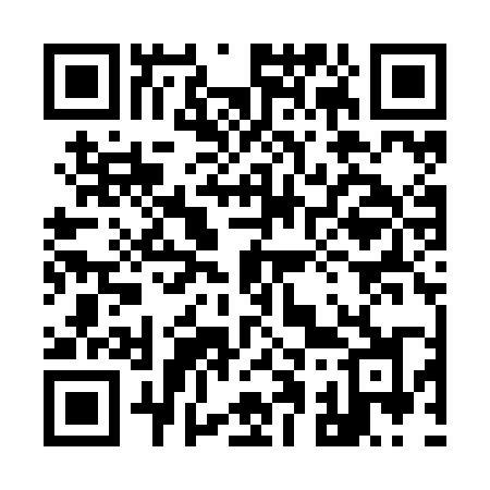 QR code for 911ZMJ