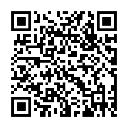 QR code for 913IVM