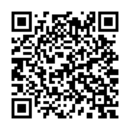 QR code for 916PUN