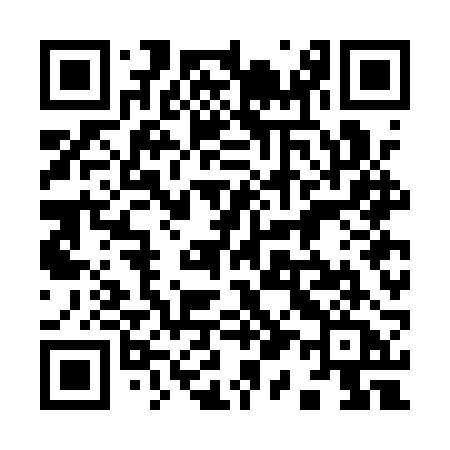 QR code for 917ARA
