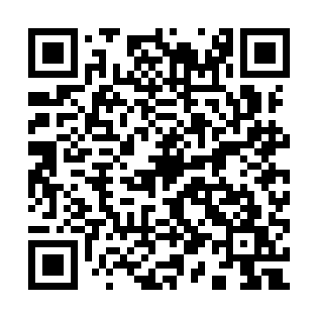 QR code for 917IAW