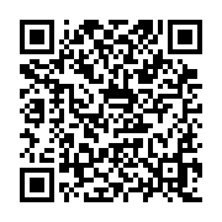 QR code for 919CIO