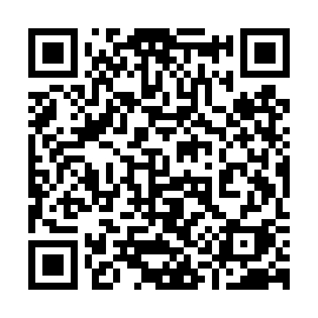 QR code for 919DSI