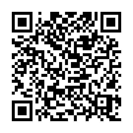 QR code for 919INP