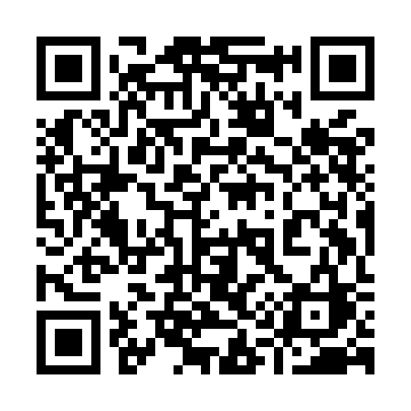 QR code for 919MCC