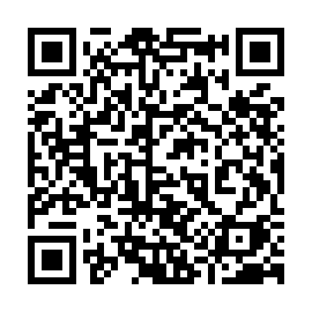 QR code for 919MCI