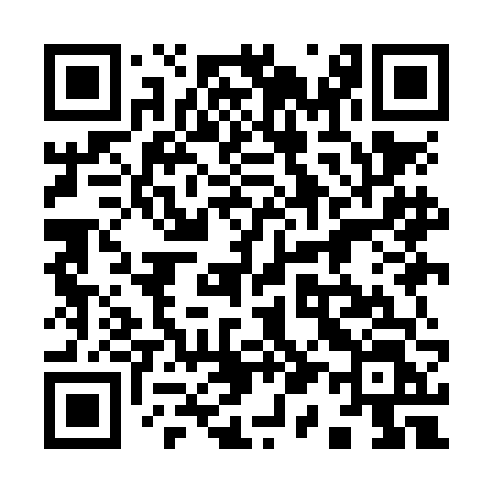 QR code for 919NFL