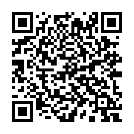 QR code for 919PID