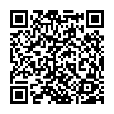 QR code for 919PVZ