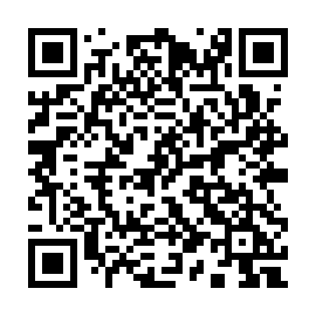 QR code for 919QTE