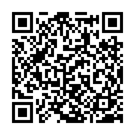 QR code for 919SAS