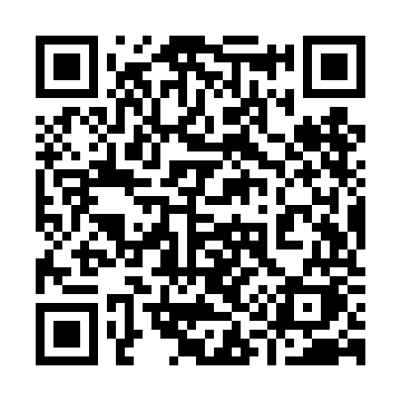 QR code for 919TOK