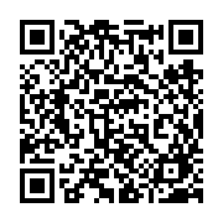 QR code for 919VYG
