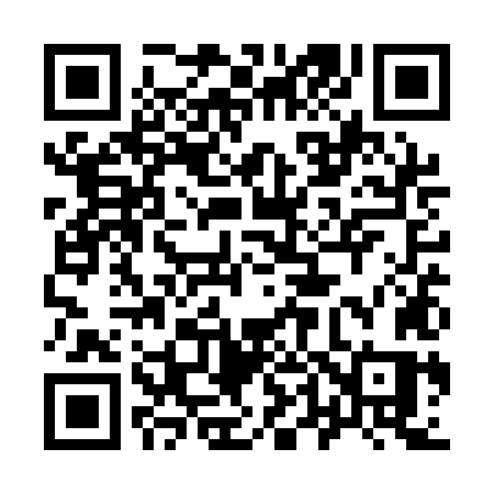 QR code for 941QLS