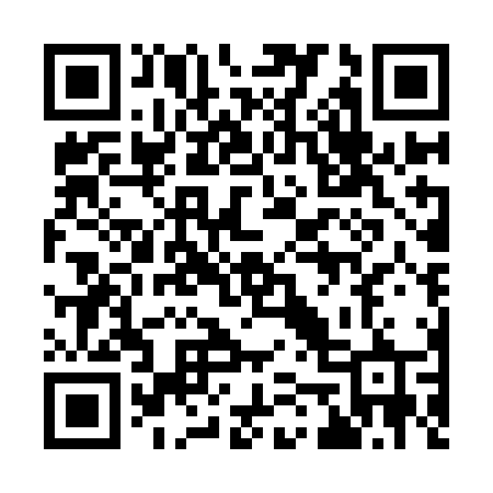 QR code for 950INR