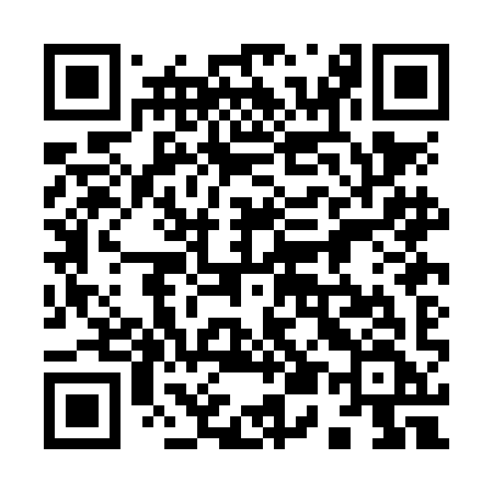 QR code for 950NIF