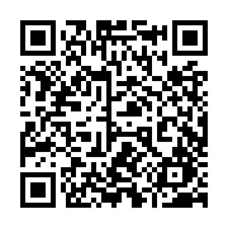 QR code for 950OZN
