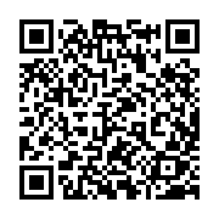 QR code for 950QIZ