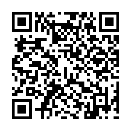 QR code for 950SVN