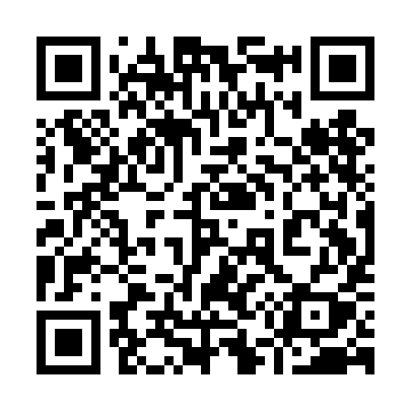 QR code for 951DIY