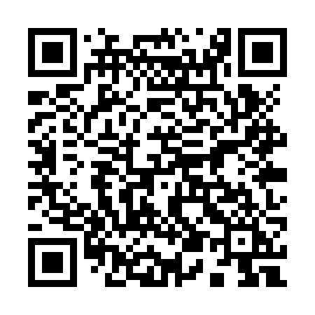 QR code for 951ZZI