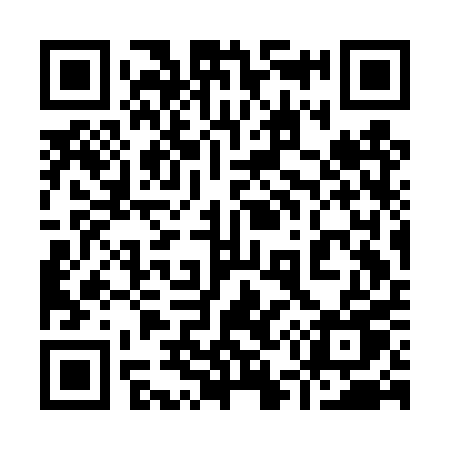 QR code for 953DPU