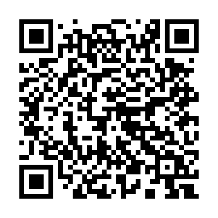 QR code for 953DZT